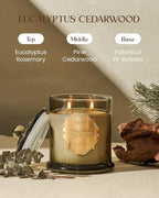 M&SENSE Eucalyptus Cedarwood Soy Candles, 2 Wick 12.7oz Large Jar Candle 75H - Image 2