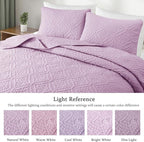 Exclusivo Mezcla Twin Quilt Bedding Set, Lightweight Soft Bedspreads Coverlets - Image 3