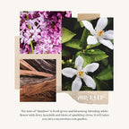 Airkeep Reed Diffuser Set - Image 8