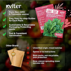 KVITER 400 Bloomsdale Spinach Seeds — Non-GMO & Heirloom, Heat Tolerant - Image 5