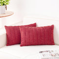 Aegero Pack of 2 Corduroy Decorative Throw Pillow Covers 12x20 InchSoft Boho by Unknown