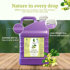 SVA Moringa Seed Oil Organic - Image 7