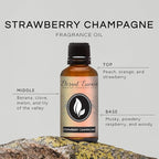 Eternal Essence Oils Strawberry Champagne 30ml Premium Fragrance Oil - Image 2