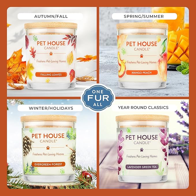 One Fur All Pet House Candle Plant-Based/Soy - Image 4
