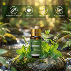 90 Pcs Essential Oil Set - Image 2