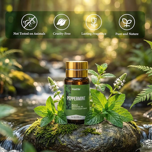 90 Pcs Essential Oil Set - Image 2