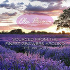Ola Prima Peppermint Essential Oil Therapeutic Grade 16 oz - Image 4