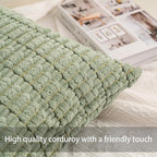 Aegero Pack of 2 Corduroy Decorative Throw Pillow Covers 26x26 InchSoft Striped - Image 2