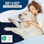 King Size Mattress Protector Waterproof, Premium 200 GSM Terry Mattress Cover - Image 5