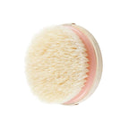 EcoTools Dry Body Brush, for Post Shower & Bath Skincare Routine, Removes Dirt - Image 4