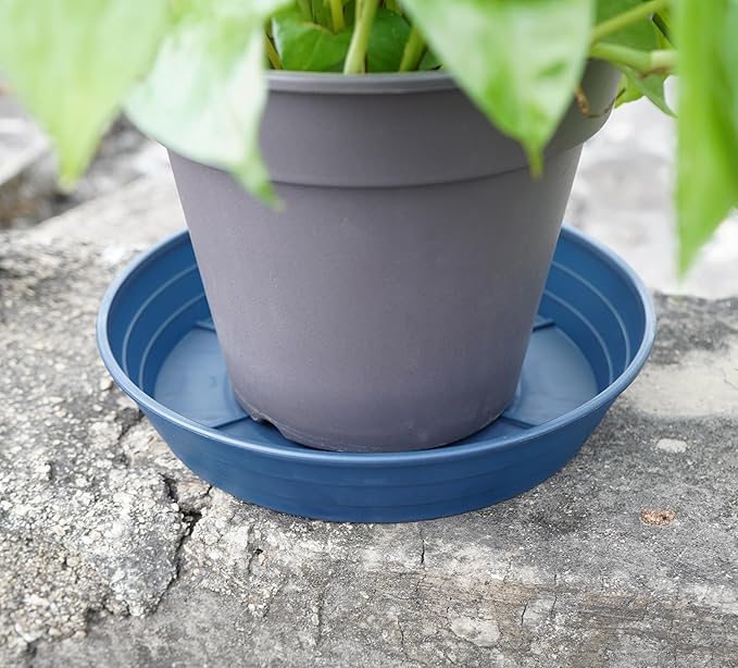 Plant Saucer 8 Inch 4 Pack 6 8 10 12 14 16 18 20 25, Plastic Plant Trays - Image 4