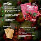 KVITER 50 Pimenta Biquinho, Sweety Drop Peppers Seeds – Chupetinho, Pimenta de - Image 5