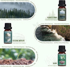 SALUBRITO Nature Fragrance Oils Set, Essential Oils Set - Image 3