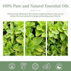 Oregano 1.01fl.oz Essential Oil, PHATOIL Pure Aromatherapy Oils - Image 6