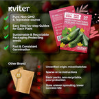 KVITER 50 National Pickling Cucumber Seeds - Image 5