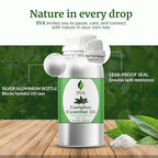 SVA Camphor Essential Oil – 16 Fl Oz – 100% Natural Camphor Oil - Image 7