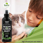 Aromasong Eucalyptus & Wild Mint Linen and Room Spray, Natural Aromatic Mist - Image 2