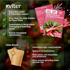 KVITER 50 Red Victoria Rhubarb Seeds - Image 5