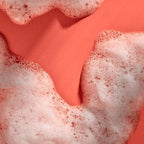 Tree Hut Sweet Punkin Foaming Gel Wash, Gently Cleanses and Leaves Skin Looking - Image 7