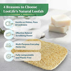 Natural Loofah Kitchen Sponge - Image 7
