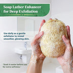 Natural Loofah Exfoliating Sponge - Image 4