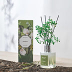 Airkeep Reed Diffuser Set - Image 6