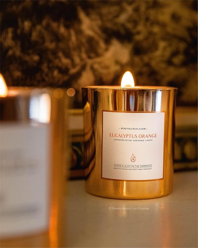 Benevolence LA Eucalyptus Orange Wood Wick Candles | Soy Christmas Scented - Image 3
