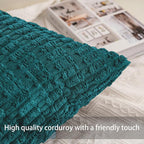 Aegero Pack of 2 Corduroy Decorative Throw Pillow Covers 18x18 Inch Soft - Image 2