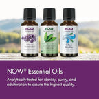 NOW Essential Oils, Rosemary Oil, Purifying Aromatherapy Scent, Steam Distilled - Image 5