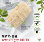 CraftsOfEgypt Natural Loofah Sponge – Egyptian Luffa Body Scrubber Pack of 1 - Image 3