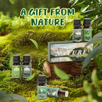 SALUBRITO Nature Fragrance Oils Set, Essential Oils Set - Image 2