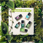 SALKING Nature Fragrance Oils, Premium Essential Oil - Image 5