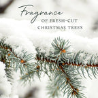 Thymes Home Fragrance Mist – Room Air Fresheners - Image 6