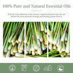 PHATOIL 100ML Citronella Essential Oil, - Image 6