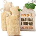CraftsOfEgypt Natural Loofah Sponge – Egyptian Luffa Body Scrubber Pack of 4 by CraftsOfEgypt