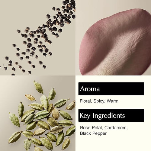 Aesop A Rose By Any Other Name Body Cleanser | Gentle Botanical Cleanser - Image 2