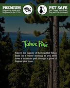 Shortie's Candle Company Tahoe Pine Premium Tealight Candles - Image 5