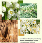 Xcleen Reed Diffuser Set- Jasmine & Lily Scented Diffuser - Image 4