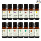 Plant Therapy Top 14 Essential Oil Set, 10 mL Bottles of Lavender, Eucalyptus by PlantTherapy