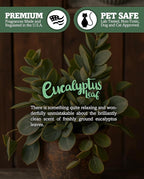 Eucalyptus Leaf Premium Tealight Candles - Image 5