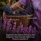 Majestic Pure Essential Oil - Image 3