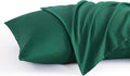 NTBAY Queen Pillow Cases Set of 2, 2 Pack Brushed Microfiber Pillow Cases by NTBAY