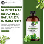 NaturoBliss Peppermint Essential Oil, 100% Pure and Natural Therapeutic Grade - Image 3