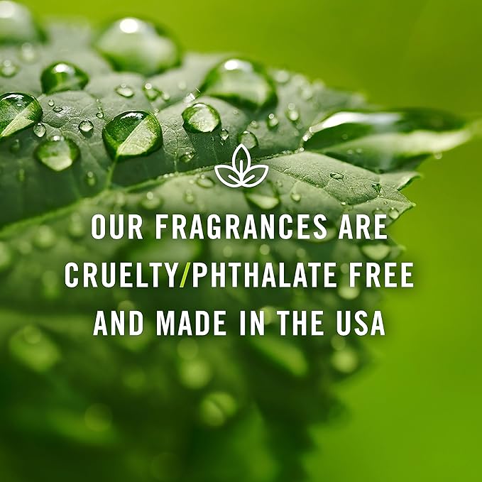 P&J Trading - Chocolate Chip Cookie Scented Oil 100ml - Fragrance Oil - Image 6