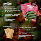 KVITER 150 Straight Eight Cucumber Seeds - Image 5