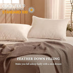 BHZ Goose Down Feather Standard/Queen Pillow, Luxury Hotel Collection Bed Pillow - Image 3