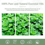 Spearmint 1.01fl.oz Essential Oil, PHATOIL Pure Aromatherapy Oils - Image 6