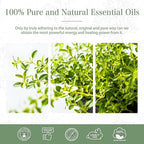 Thyme Essential Oil, 1.01Fl.Oz PHATOIL Pure Essential Oil Singles - Image 7