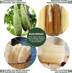 Natural Shower Loofah Sponge, Bath Exfoliating Loofa Body Scrubber, 5.5 “Soft - Image 5