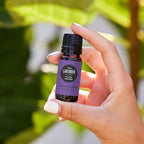 Edens Garden Lavender- Fine Essential Oil- 100% Pure Premium Grade, Therapeutic - Image 2